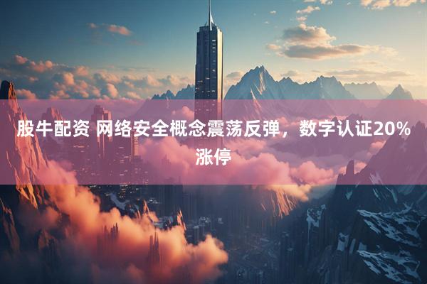 股牛配资 网络安全概念震荡反弹，数字认证20%涨停